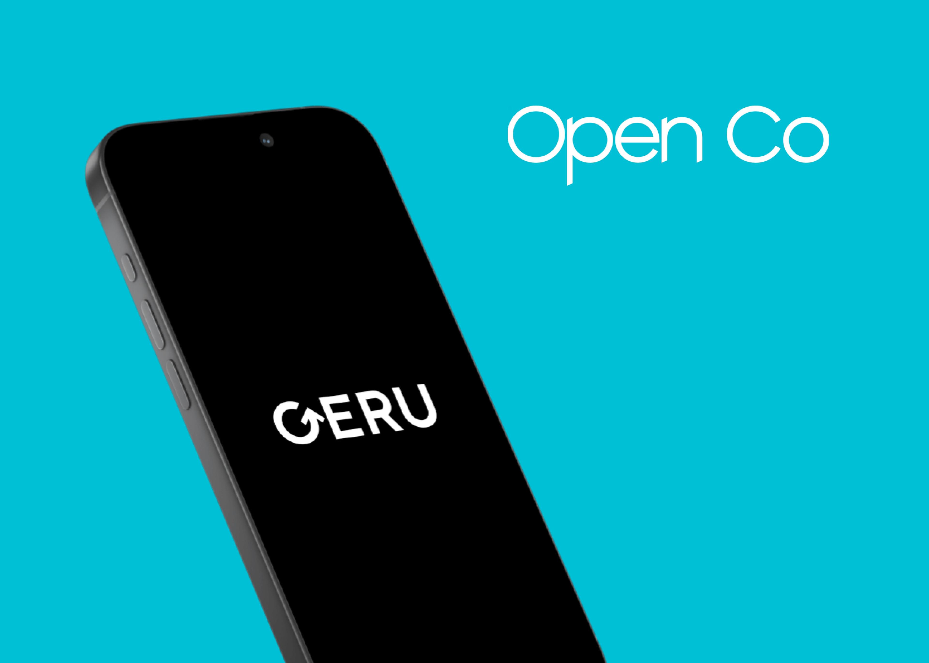 Geru Credit Application