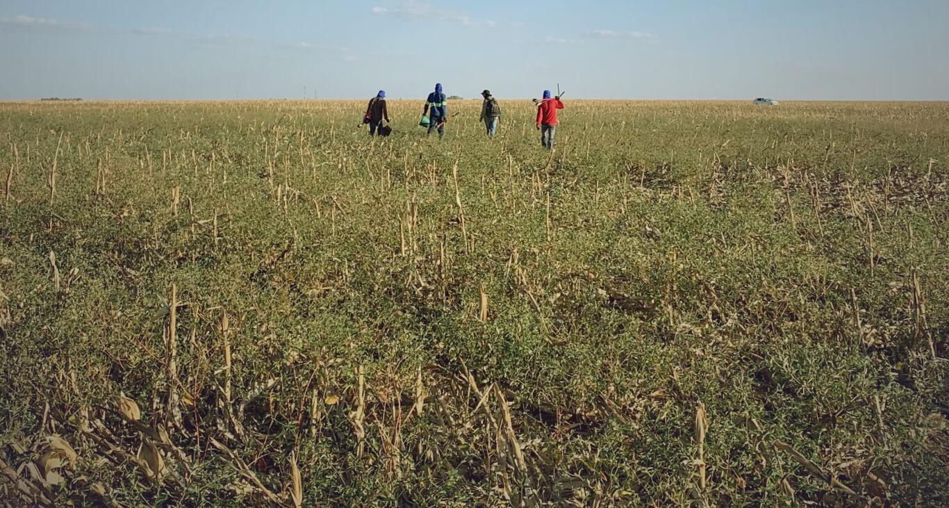 Plataforma Flora AgroTech